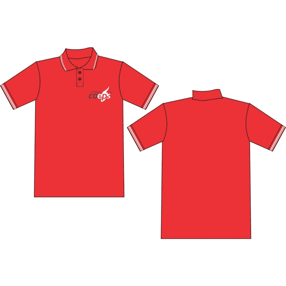 Camiseta Polo